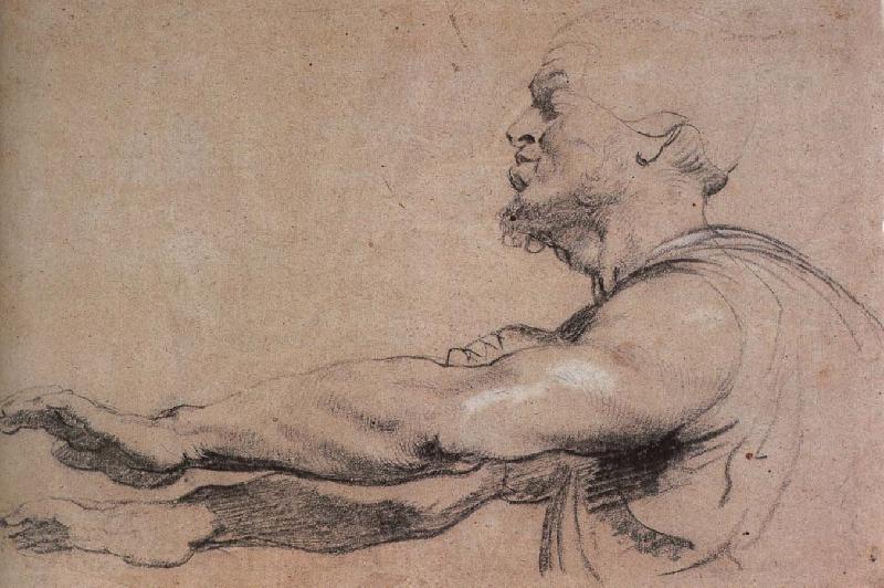 Peter Paul Rubens Blindman reach the arm